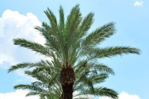 best drug rehab