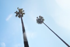 non 12 step rehab