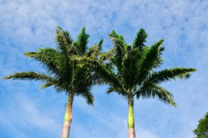 alcohol rehab Palm Springs ca