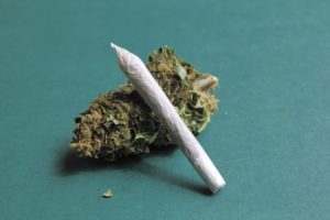 How Long Does Marijuana Stay in Your System?