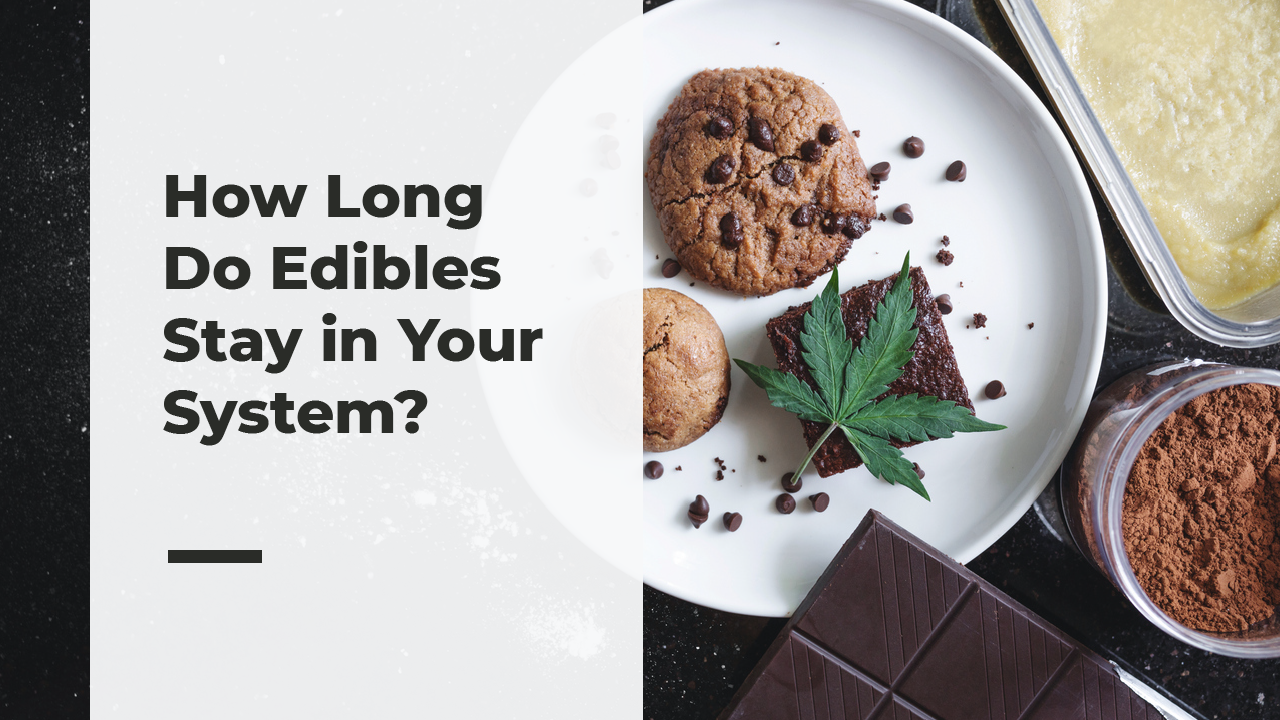 Do Edibles Leave Your System Faster Than Smoking How Long Do Edibles Stay In Your System?