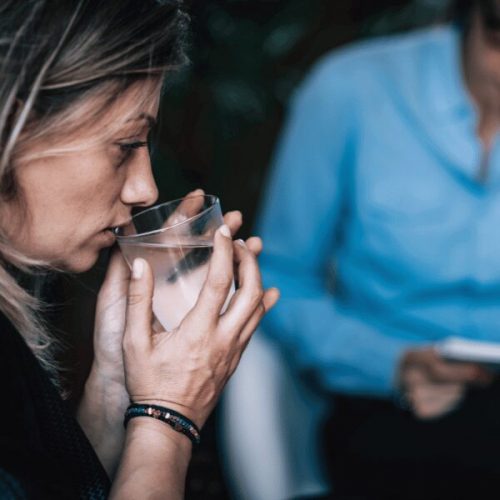 Professional woman meeting with a therapist about drug and alcohol rehab programs
